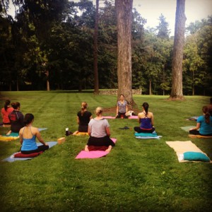 Yoga in the Grass